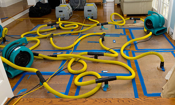 Professional Basement Flood Cleanup technician working in Cornersville, TN